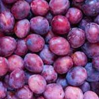 Plum fruit rich in fiber and polyphenols